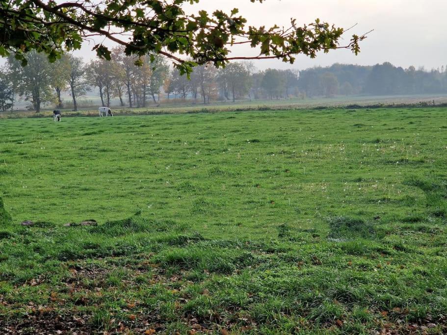 Gemuetliche Wohnung Direkt Am Kuestenkanal! Wardenburg エクステリア 写真